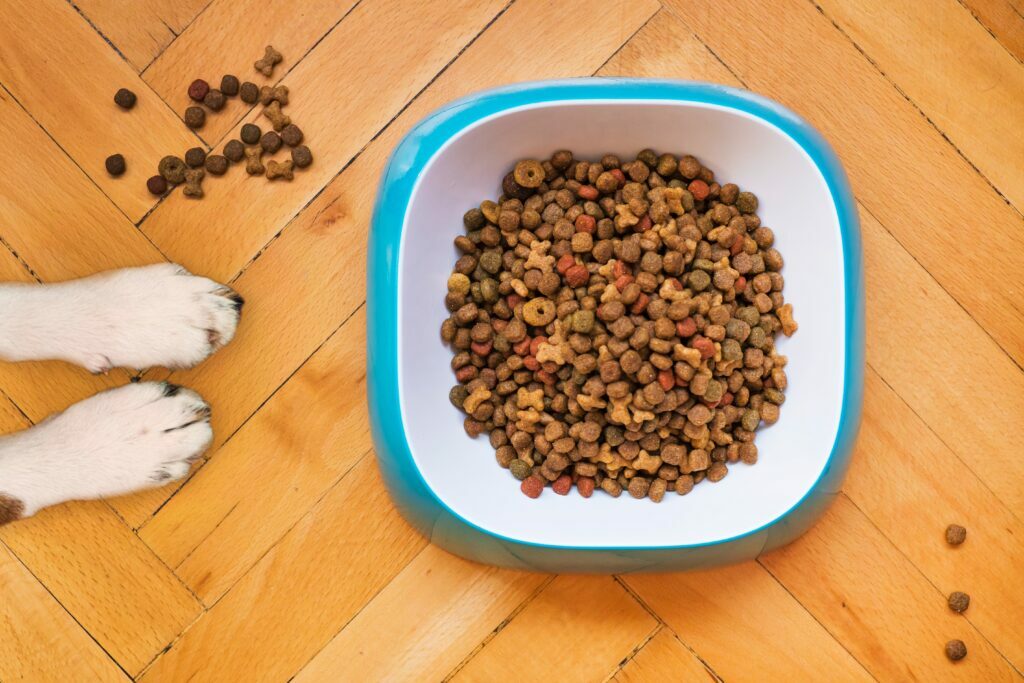 dog food biscuits bowl