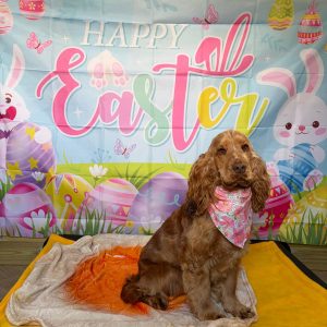 WhatsApp Image 2026-04-04 at 09.49.42 (6)