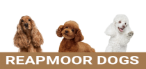 rm-tmp-logo