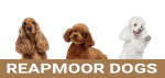 rm-tmp-logo